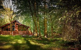 Beddgelert Cabins, Snowdonia - Forest Holidays